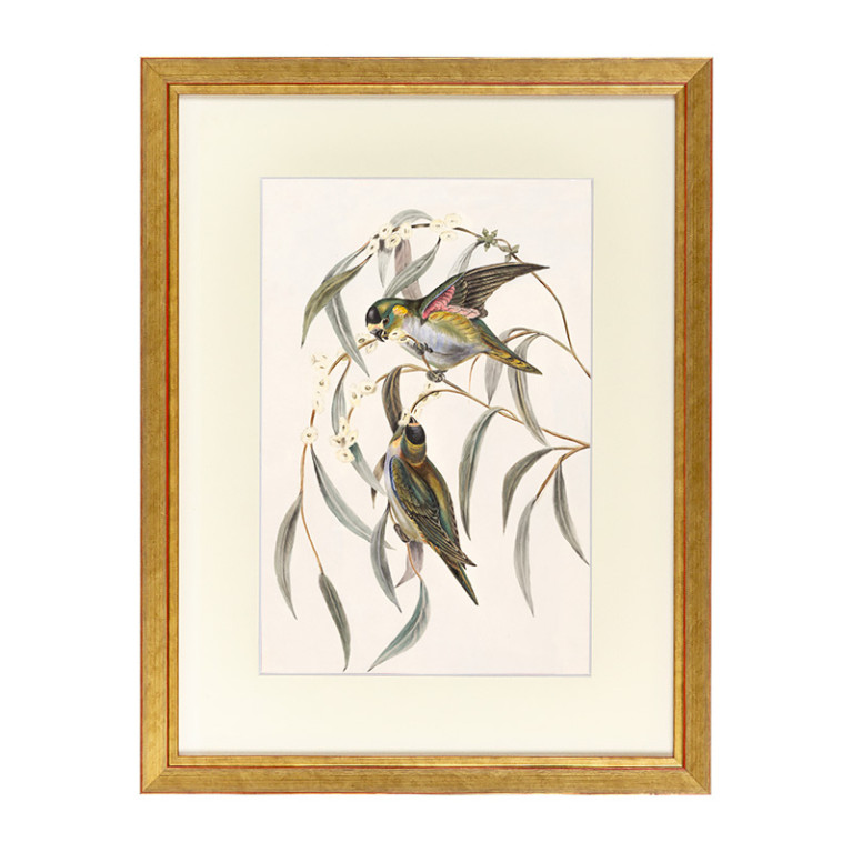 Fotolijst Tropez Goud 60x80 cm - Art Print en Passe Partout