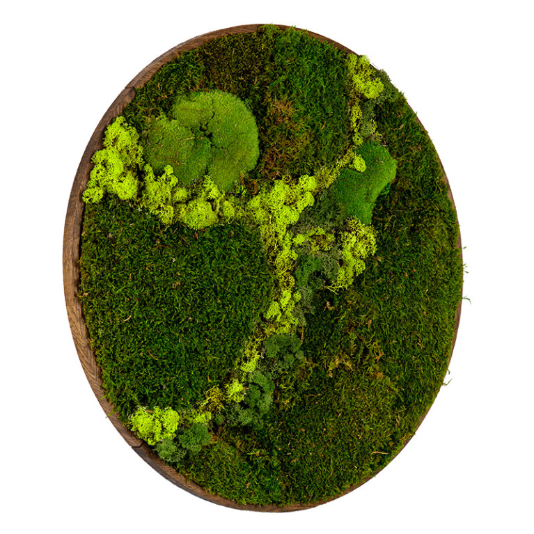 Mos Schilderij Rond 40 cm Donker Eiken Svendborg Lentegroen - Zijaanzicht