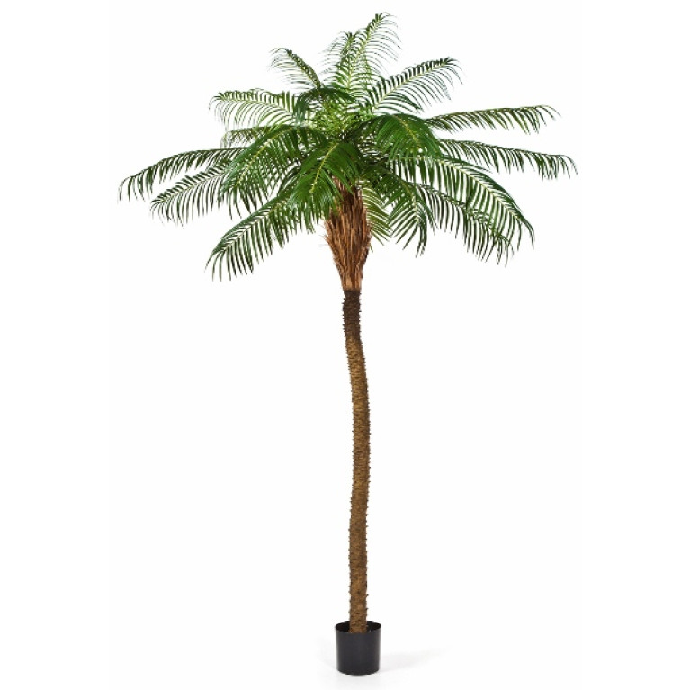 blijven verbanning genoeg Kunstplant Phoenix Palmboom Deluxe 225 cm