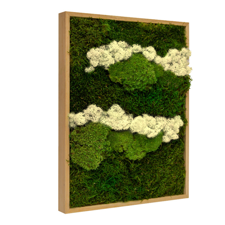 Mosschilderij Lappenmos-Rendiermos-Bolmos 60x80 cm Eikenhout - Skive Latte