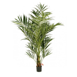 Kunstplant Kentia Palmboom 225 cm