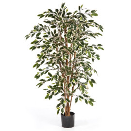 Kunstplant Ficus Nitida Mixed 180 cm