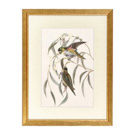 Fotolijst Tropez Goud A3 (29,7x42 cm) - Art Print en Passe Partout