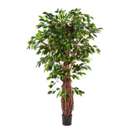 Kunstplant Ficus Liana Deluxe 240 cm