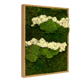 Mosschilderij Lappenmos-Rendiermos-Bolmos Eikenhout - Skive Latte - Zijkant