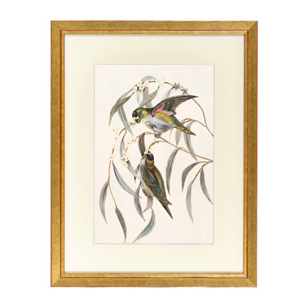 Fotolijst Tropez Goud 60x80 cm - Art Print en Passe Partout