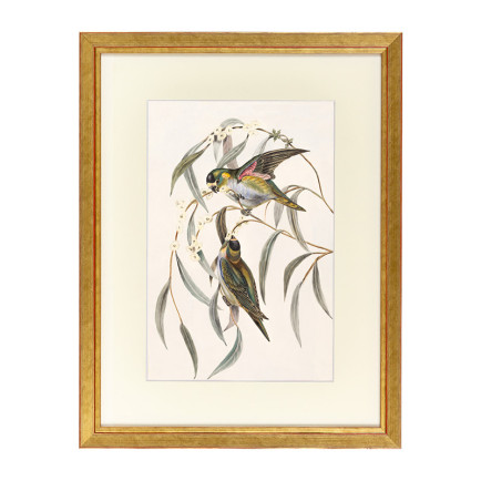 Fotolijst Tropez Goud 70x100 cm - Art Print en Passe Partout