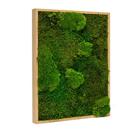 Mos Schilderij Lappenmos-Bolmos Blank Hout Boras - Zijaanzicht