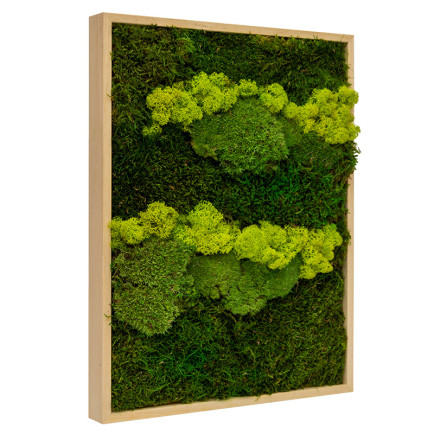 Mos Schilderij Lappenmos-Rendiermos-Bolmos Blank Hout Skive Lentegroen - Zijaanzicht