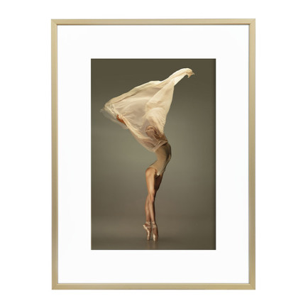 Wissellijst Champagne A1 - Art Print en Passe Partout