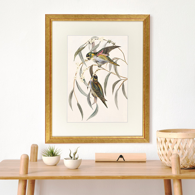 Fotolijst Tropez Goud 70x100 cm nodig