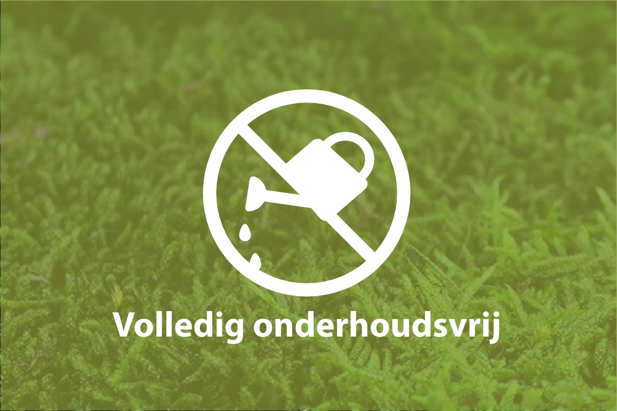 Volledig onderhoudsvrij