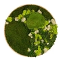 Mosschilderij Rond