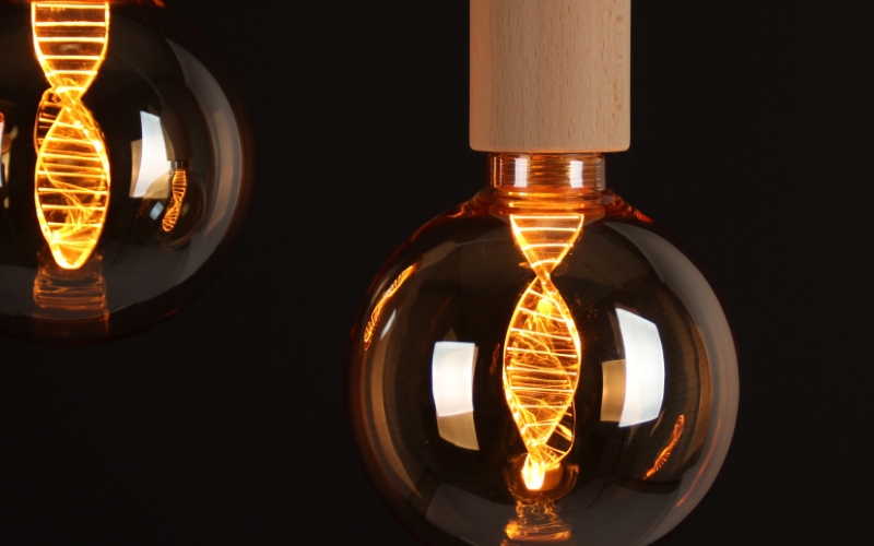DNA Filament
